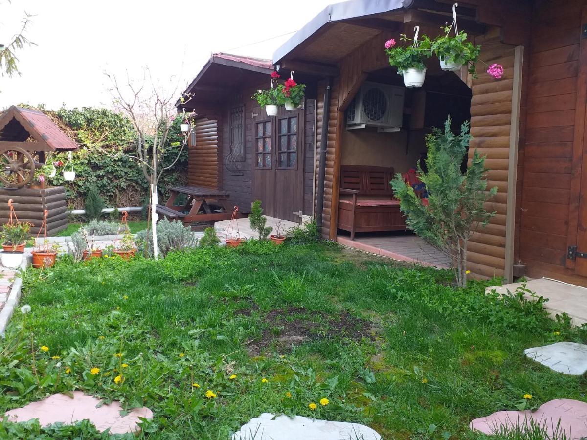 Apartamento Casa la Mola Mangalia Exterior foto